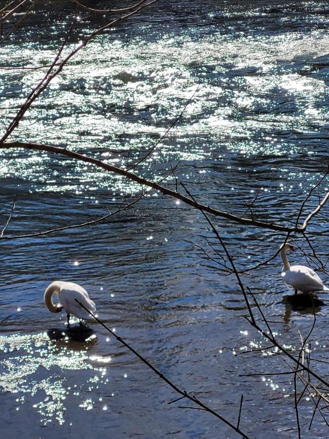 Ferienwohnung Stoisser Mureck Eksteriør bilde